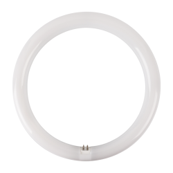 Aca Λάμπα LED 19W Τύπου Φθορίου 298mm για Ντουί G10Q και Σχήμα T9 Ψυχρό Λευκό 2000lm