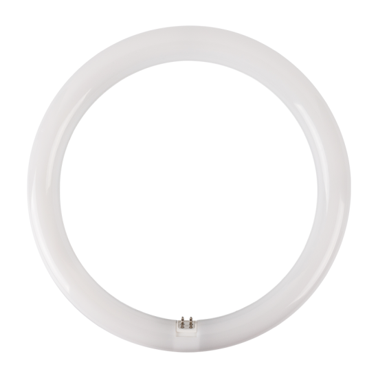 Aca Λάμπα LED 19W Τύπου Φθορίου 298mm για Ντουί G10Q και Σχήμα T9 Ψυχρό Λευκό 2000lm