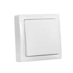 ΔΙΑΚΟΠΤHΣ ΑΠΛΟΣ IP20 10A ΛΕΥΚΟΣ